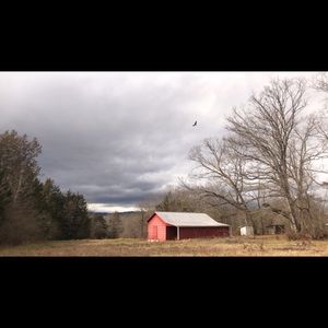 Meet your Posher, Alexandra